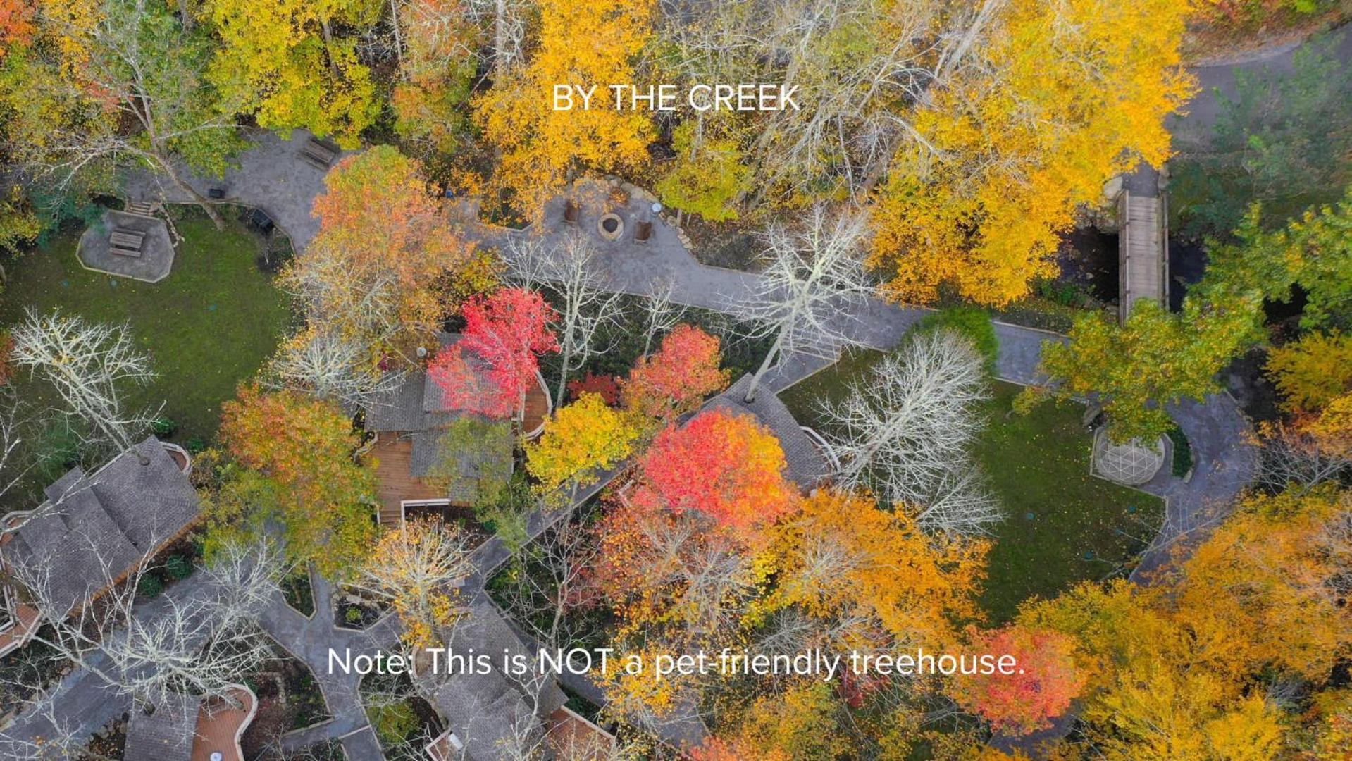 The Dogwood In Treehouse Grove At Norton Creek Villa Gatlinburg Exterior photo